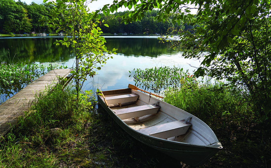 Plants next to canoe